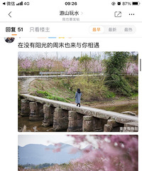 ���������ĵ���ʲô����