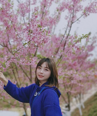 28��158CM��ѧϵ�İ��������飬ϣ���Է���Ƣ����