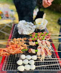 ����ů���ʺ�Ұ���տ����ҷ���һ�������տ��õط�