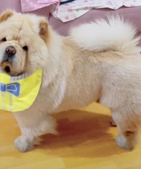 ����ȫ���޳����ļ�ǿ