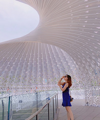 91��Ĺ���С������飬ϲ����������������к���