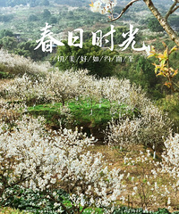 ����С�ڿ������Ƽ����а�һ��Ƭӣ�һ�ɽ����ȥ����ѽ