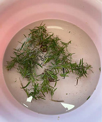 ��ͷ������һ��Ҫ�����Ե���ϴͷ��