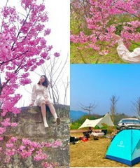 看花和露营,这个地方一次性全满足