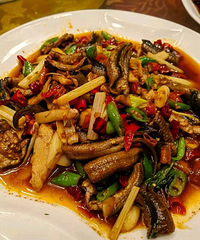 ��˵����Ѹÿ�������춼����ң����Ǿ���������~