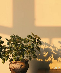 3쿴ȫ17¥̣¼ҵĵɳ