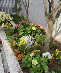 200װ˴ɽ304O133O԰С