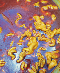 ��������·Ҳ�������һ��������˷ʳ�