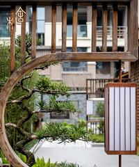 滨԰ΧƵʽСңͤˮ˵ض