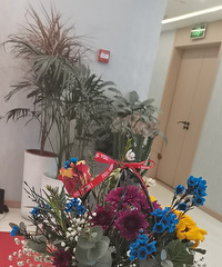 Ů����͸��Լ�������  �����廨