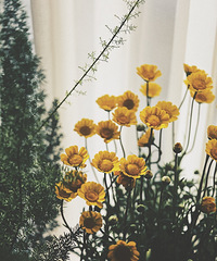 Ҽ̨Ǵӣ15ԪĻƾ̫ʺ