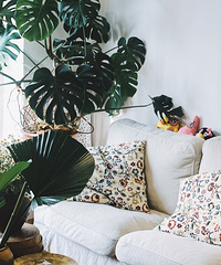 ̨Ǵеӣײ˼۵Ļƾյѡɫݻ