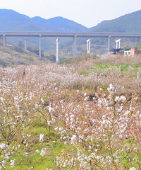 ӣһĺõطժָ̣ԳĶ