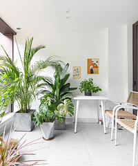 ˴ɽ148O깤31ǪС԰