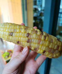 ÿ�����ڴ���ʱ�䣬ɶ���ֵܵ��ҶԺ��ϻ����׵İ�