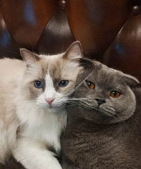 29ҵλˮƿС飬ϣԷ155