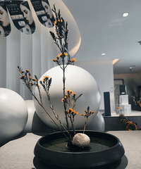 �ļ����ˣ��Ͻ�������ױ��üë������