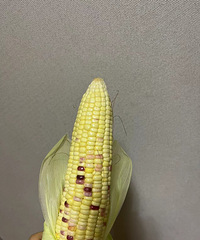 ���������ųԻ������ųԣ�Ϊ�⻹����ͷ���˸���