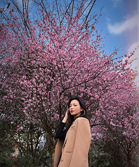 春游美照来袭,这条90块钱的开叉裤超显高