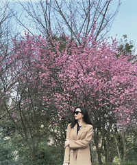 春游美照来袭,这条90块钱的开叉裤超显高