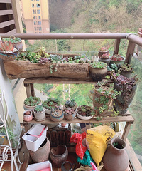 ���㲻Ҫ������ô�����ֲ��ܳ�....���źÿ�ѽ��