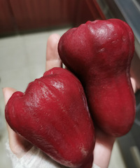 �Ƽ�һЩ���������������ĵ�ˮ��