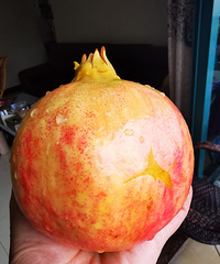 �����Ƽ�һЩ�����ı�������ˮ��Ŷ��