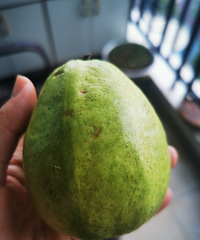 �����Ƽ�һЩ�����ı�������ˮ��Ŷ��