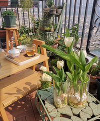 Сֲ̨ˣ 緹Ȳ衢ⶼ