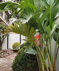 200ƴװȫ¼ֲıصأ۸ʵڣ