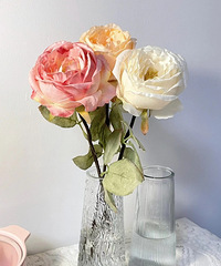 9.9������������ƿ��ľ�