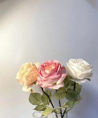 9.9������������ƿ��ľ�