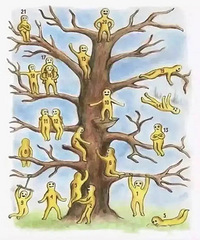 ���ԣ�ͼ��ѡһ����ϲ����λ��