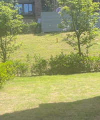 Ϊޣҽѣ³Ԥһ250ƽ԰