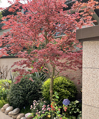 ɹɹҼСԺԼֵ𣬻ıĴ