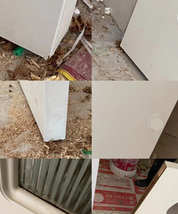 ʧ٣ȫݶƱҸ棬˵˵һʮµĿ