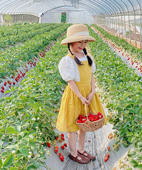 ץס��ݮ�������һ���£�����ժ��ݮ��Ʒ�ֶ�۸�Ҳ����