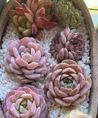 ˼ҡɹˣÿ괺춼⼾ѽ