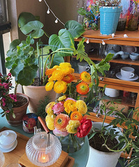 2ǪҲܳΪ鷢Сռ䣬ԼݵĻ̫