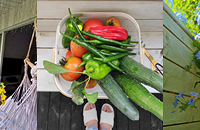 4Ǫ쵽˻԰£+ֲ+Σɶ