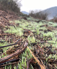 С¶Ӫأ˳٣һ˳аɽͷ