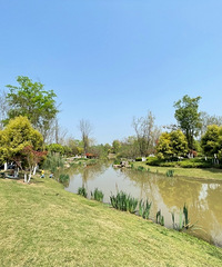 дƺͶͯ԰Ұ͵ĺõط