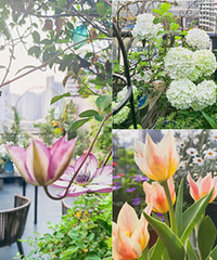 35ƽ¶̨Ĵ죬ľ򻨺һ