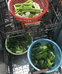 解放了解放了,原来洗碗机拿来洗菜也楞个给力