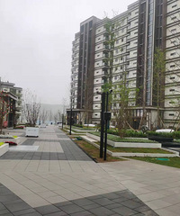 Ϊ޶ѧĸɽᵽΣֻȳ164ƽ