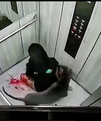 狗主人被咬,养大型犬的都看看吧