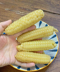 来安利这个超甜糯的云南手拇指糯玉米,超级袖珍可爱但巨好吃