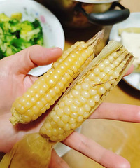 来安利这个超甜糯的云南手拇指糯玉米,超级袖珍可爱但巨好吃