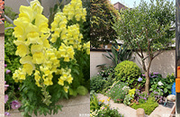 ɹɹҼҵСԺгıĴ