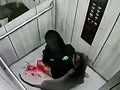 狗主人竟然被咬